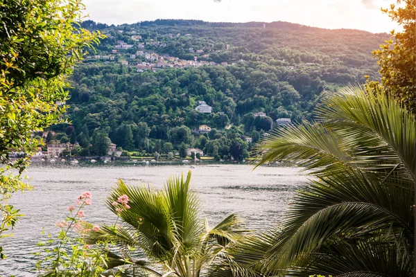 Town buildings and nature.