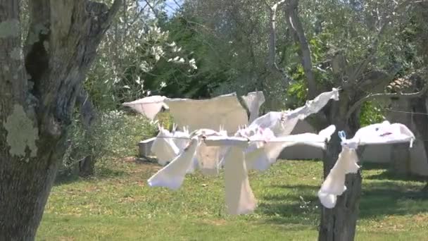Clothes hanging in the wind. — ストック動画