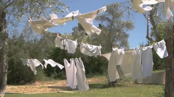 Clothes in the wind. — Stock Video