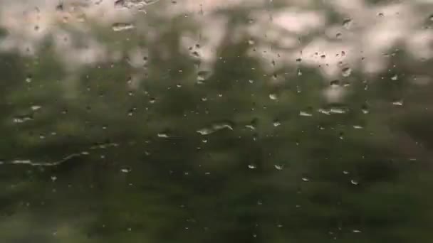 Vattendroppar som rör sig på tågfönstret. — Stockvideo
