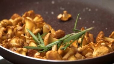 Bir tavada chanterelles.