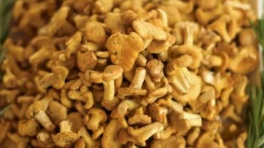 Close-Up chanterelles kazık.