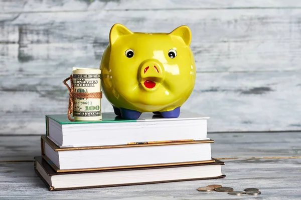 Libros, dólares y alcancía . — Foto de Stock