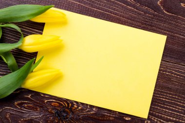 Boş tebrik kağıt ve laleler.