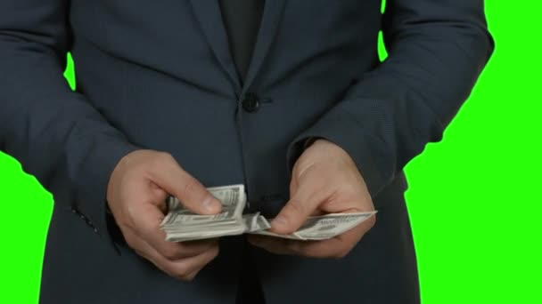 Dollari che contano su sfondo verde . — Video Stock