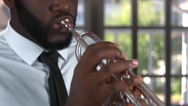 Black trumpet player. — Stock Video