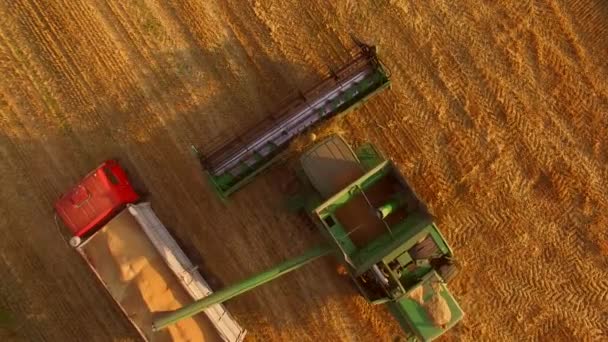 Mähdrescher und LKW mit Getreide. — Stockvideo