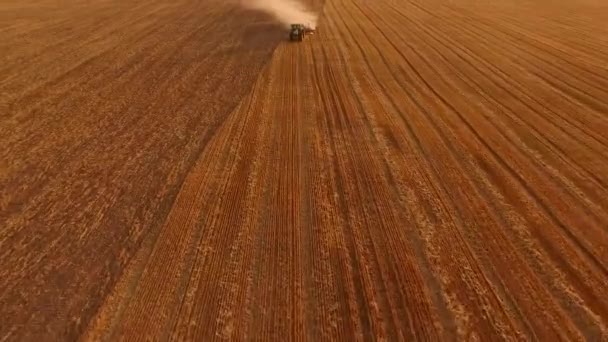 Traktor plöja fält, aerial view. — Stockvideo