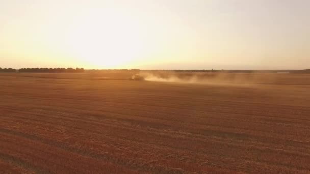 Combineren van harvester in de verte. — Stockvideo