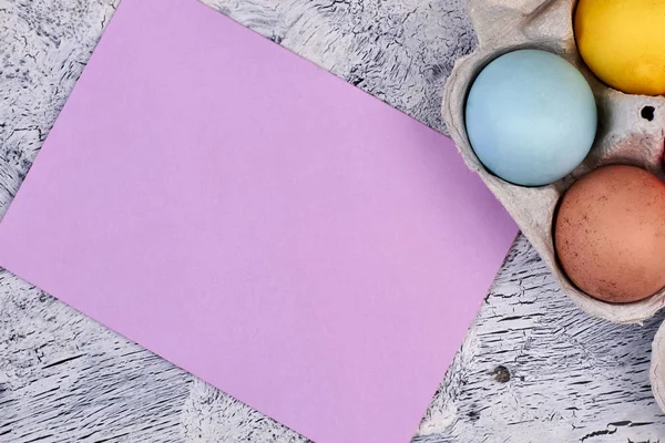 Cartão em branco com ovos de Páscoa . — Fotografia de Stock