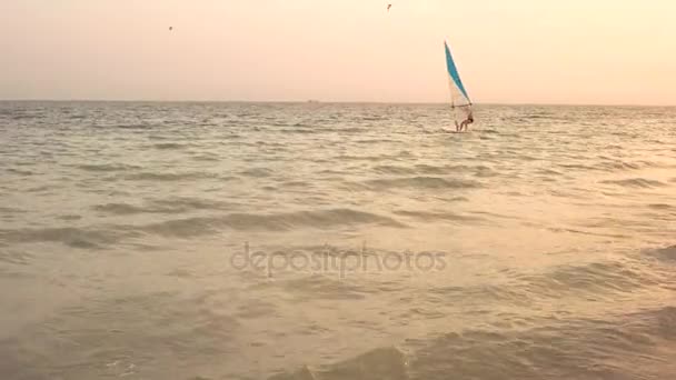 Homem windsurfista nas ondas . — Vídeo de Stock