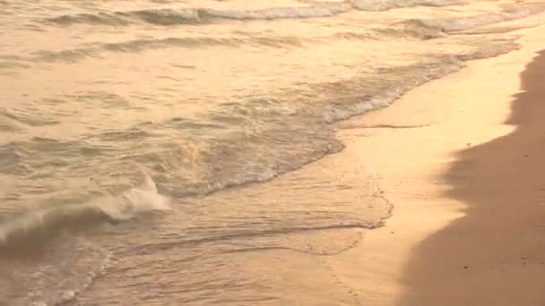 Gelombang kecil di pantai . — Stok Video