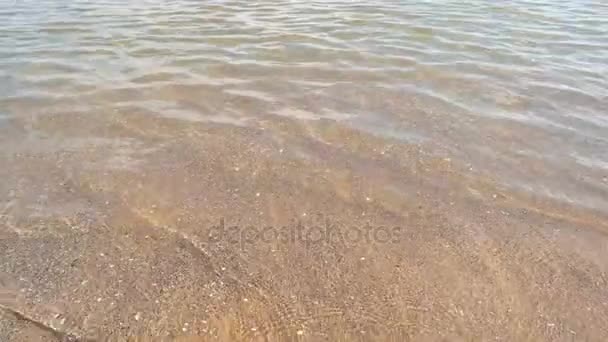 Красивая прозрачная вода у берега моря . — стоковое видео