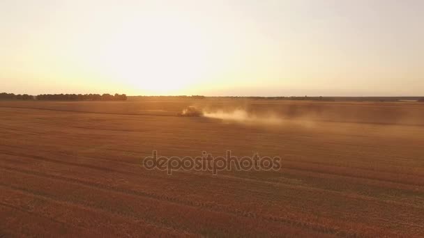 Combinar cosechadora en la distancia . — Vídeos de Stock