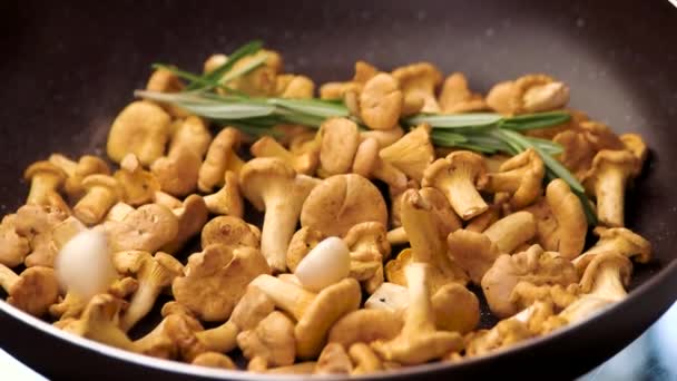 Chanterelles dans une casserole . — Video