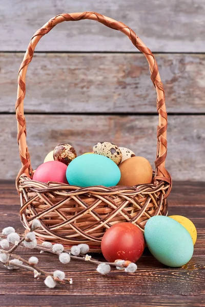 Fűzfa ágakat és festett tojások. — Stock Fotó