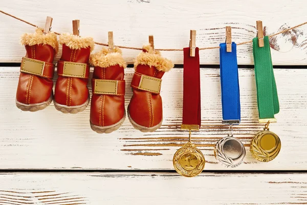 Dog boots and medals. — Stock Photo, Image