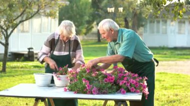 Çiçek dikim bahçıvanlar.