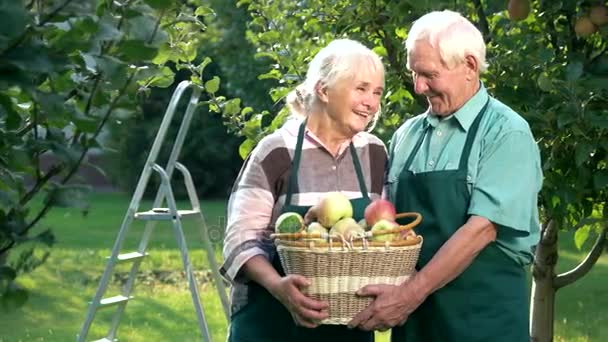 Feliz pareja de ancianos celebración cesta . — Vídeos de Stock