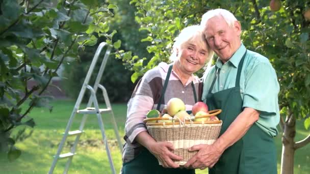 Alegre pareja sosteniendo cesta de manzana . — Vídeos de Stock