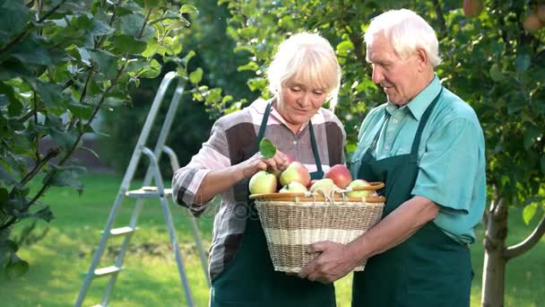 Couple souriant de jardiniers . — Video