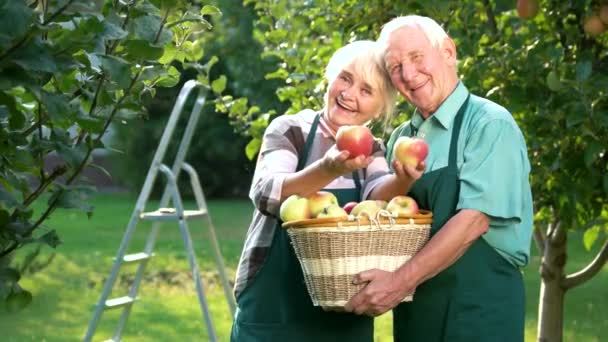 Pareja mayor sosteniendo manzanas . — Vídeos de Stock