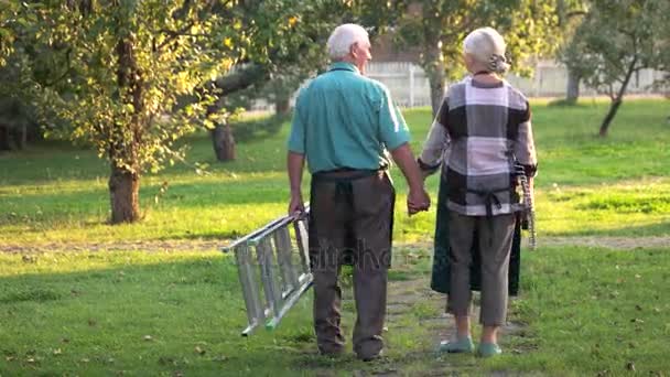 Pareja mayor besándose, verano . — Vídeos de Stock