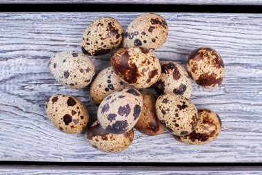 bıldırcın yumurtası yığını.