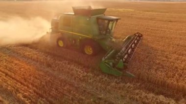 Altın alan ve birleştirmek.