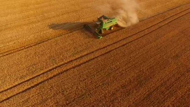 Combine harvester in the field. — Stock Video
