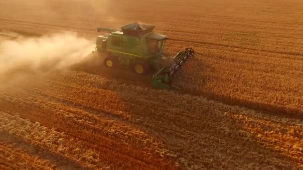 Combineren van harvester op de achtergrond van een veld. — Stockvideo