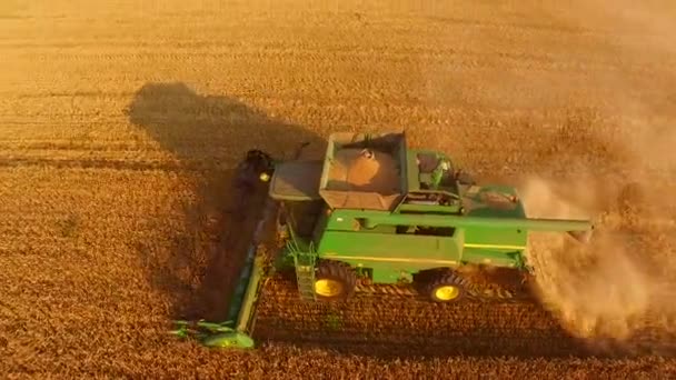 Motie van groene combine harvester. — Stockvideo