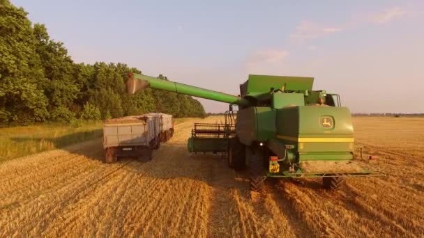 Combine harvester en vrachtwagen. — Stockvideo