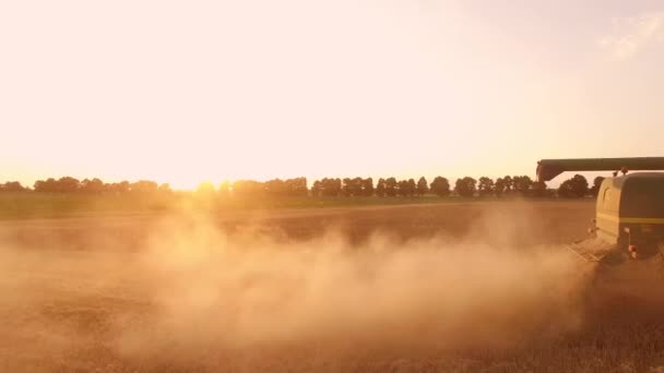 Combine harvester en stof. — Stockvideo