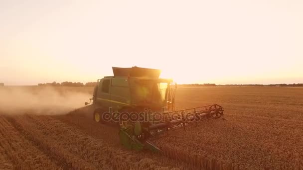 Cosechadora combinada, campo y amanecer . — Vídeos de Stock