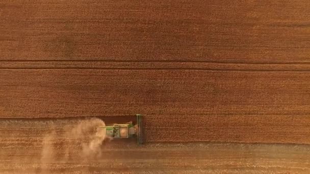 Kombinera på fältet, Flygfoto. — Stockvideo