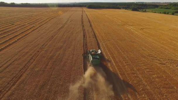 Combinar, campo y árboles . — Vídeos de Stock