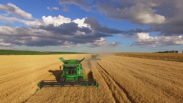 穀物収穫を組み合わせると曇り空. — ストック動画