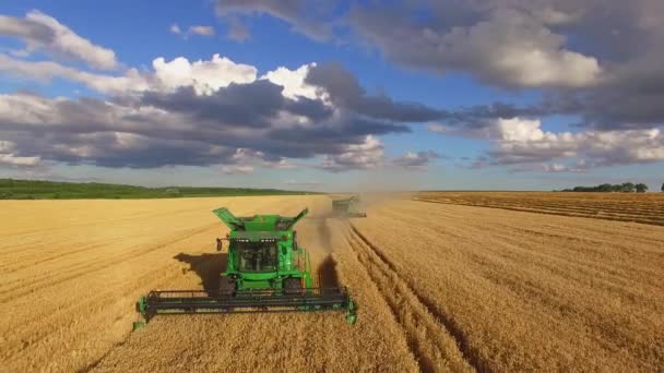 Skördetröskor och molnig himmel. — Stockvideo