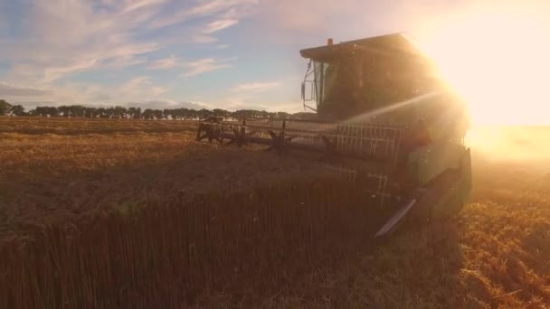 Combineren, veld en zon. — Stockvideo