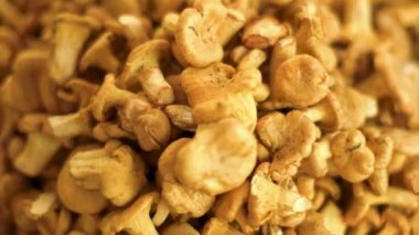 Chanterelles yakın çekim yığını.