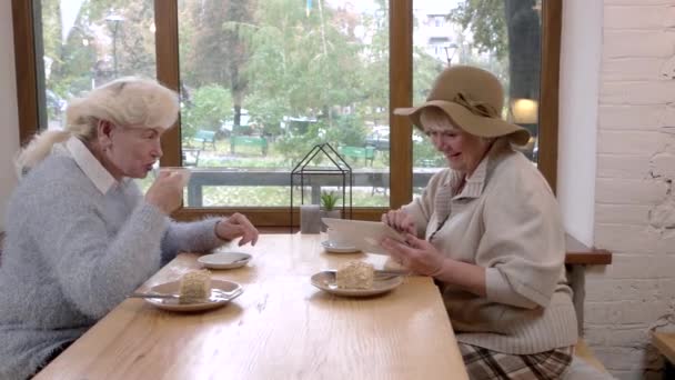 Seniorinnen halten Tablet in der Hand. — Stockvideo