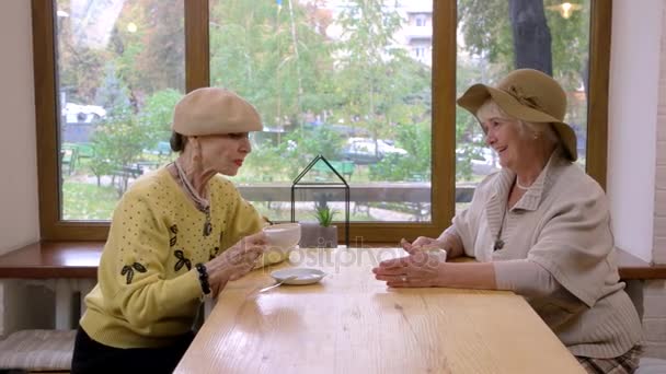 年配の婦人たちとカフェ テーブル. — ストック動画