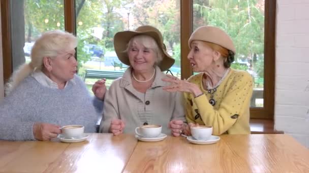 Tre äldre kvinnor vid bord. — Stockvideo