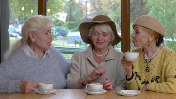 Drei Seniorinnen trinken Kaffee. — Stockvideo