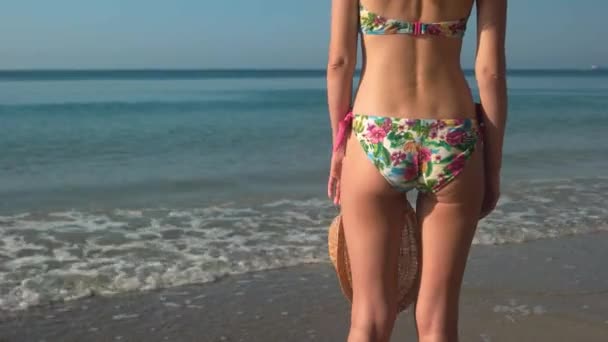 Lady in bikini, zee achtergrond. — Stockvideo