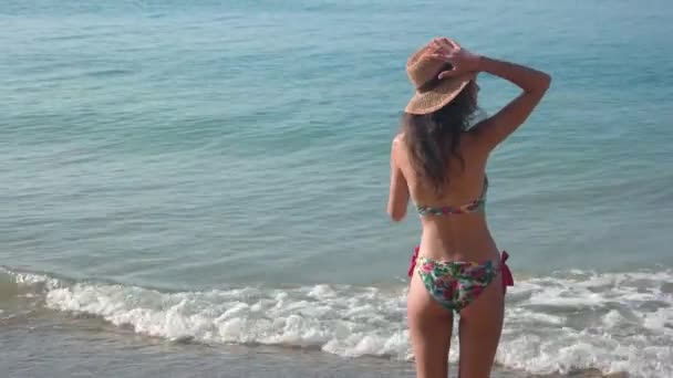 Kvinna i bikini, havet bakgrund. — Stockvideo