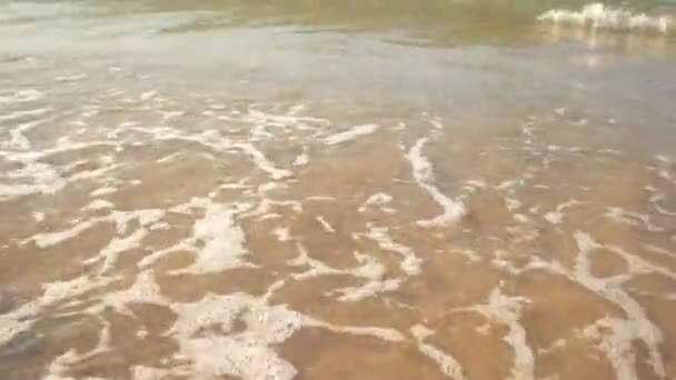 Dalgalar üzerinde kumlu deniz kıyısı. — Stok video