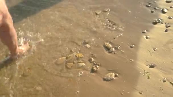 Steine am sandigen Ufer. — Stockvideo