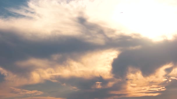 Céu do nascer do sol e pássaros . — Vídeo de Stock